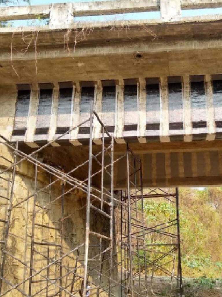 Puente Arroyo Seco, Marquelia, Guerrero_01